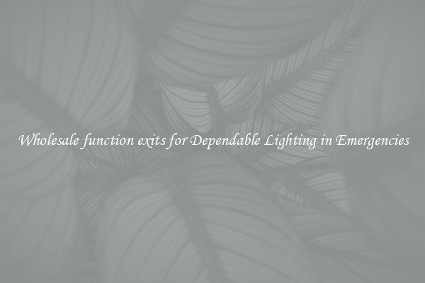 Wholesale function exits for Dependable Lighting in Emergencies