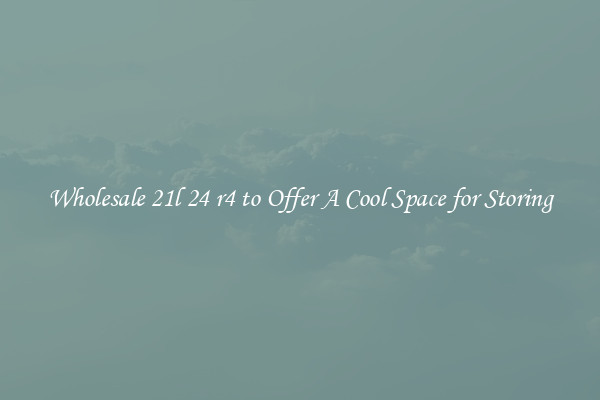 Wholesale 21l 24 r4 to Offer A Cool Space for Storing