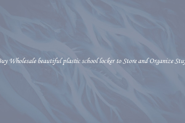 Buy Wholesale beautiful plastic school locker to Store and Organize Stuff