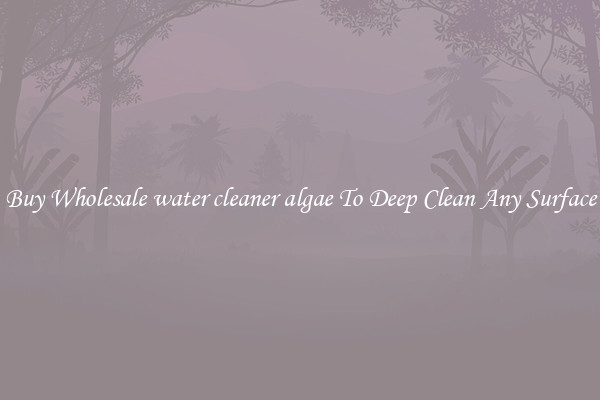 Buy Wholesale water cleaner algae To Deep Clean Any Surface