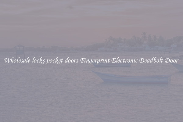 Wholesale locks pocket doors Fingerprint Electronic Deadbolt Door 