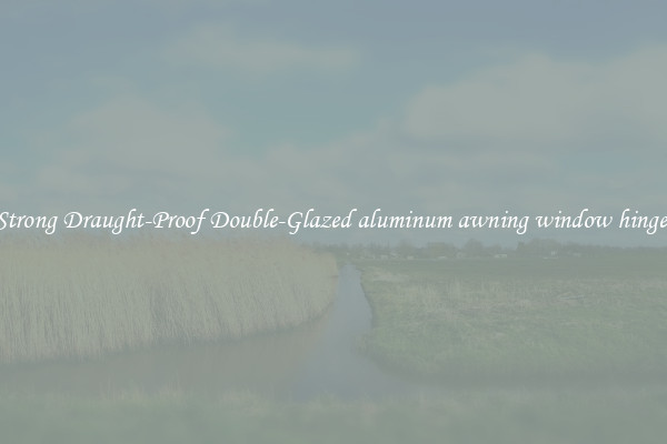Strong Draught-Proof Double-Glazed aluminum awning window hinge 