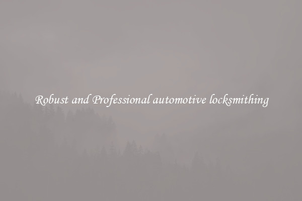 Robust and Professional automotive locksmithing