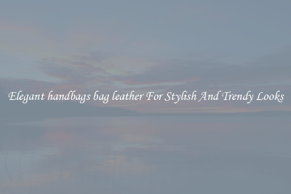 Elegant handbags bag leather For Stylish And Trendy Looks