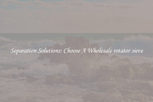 Separation Solutions: Choose A Wholesale rotator sieve
