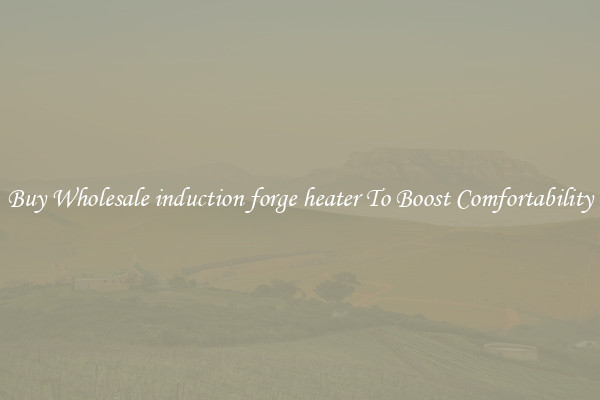 Buy Wholesale induction forge heater To Boost Comfortability