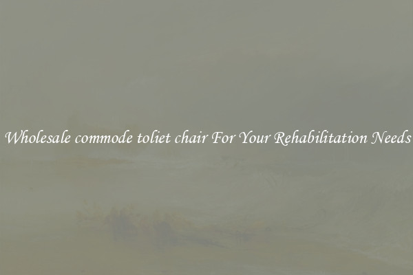 Wholesale commode toliet chair For Your Rehabilitation Needs