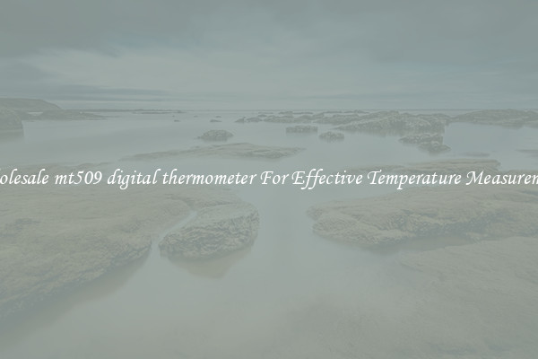 Wholesale mt509 digital thermometer For Effective Temperature Measurement