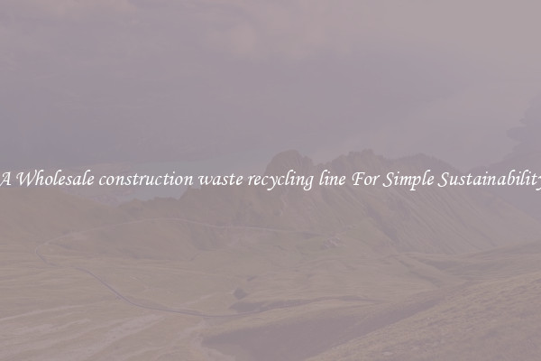  A Wholesale construction waste recycling line For Simple Sustainability 