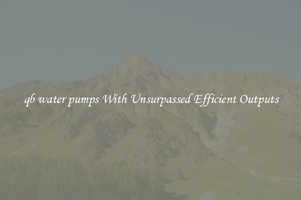qb water pumps With Unsurpassed Efficient Outputs