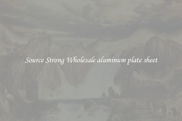 Source Strong Wholesale aluminum plate sheet