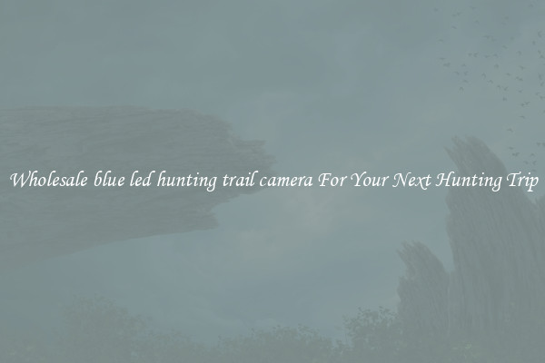 Wholesale blue led hunting trail camera For Your Next Hunting Trip